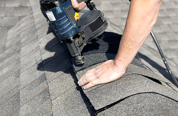 Best Roof Maintenance and Cleaning  in Bronson, MI